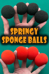 Springy Sponge Balls