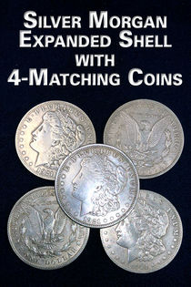 Silver Morgan Expanded Shell With Matching Coins
