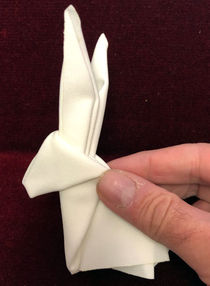 Origami Rabbit Trick (Alan Wong)