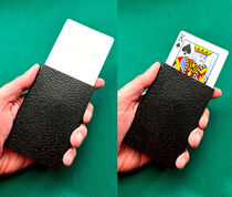 Super Business Card Holder (Fujiwara)