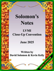 2005 LVMI Lecture Notes PDF (David Solomon)