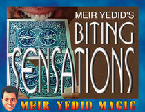 Biting Sensations (Meir Yedid)