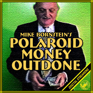 bornstein-polaroidmoney-400.jpg