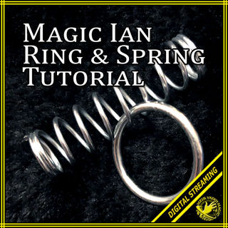 ian-ring-spring-tutorial-500.jpg