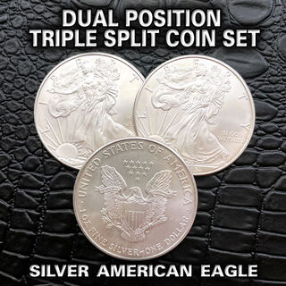 martinka-dual-position-triple-split-silver-eagle-600.jpg