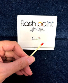 seo-flash-point-600.jpg
