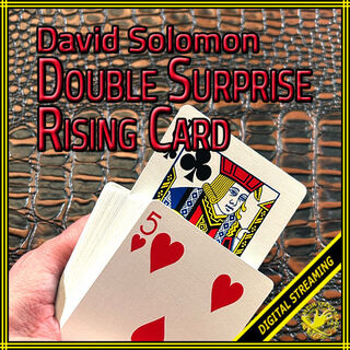 solomon-double-rising-card-500.jpg