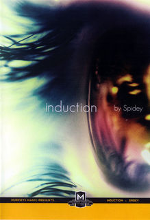 spidey-induction-400.jpg