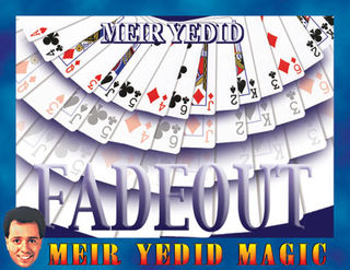 yedid-fadeout-400.jpg