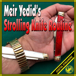 yedid-strolling-knife-routine-500.jpg